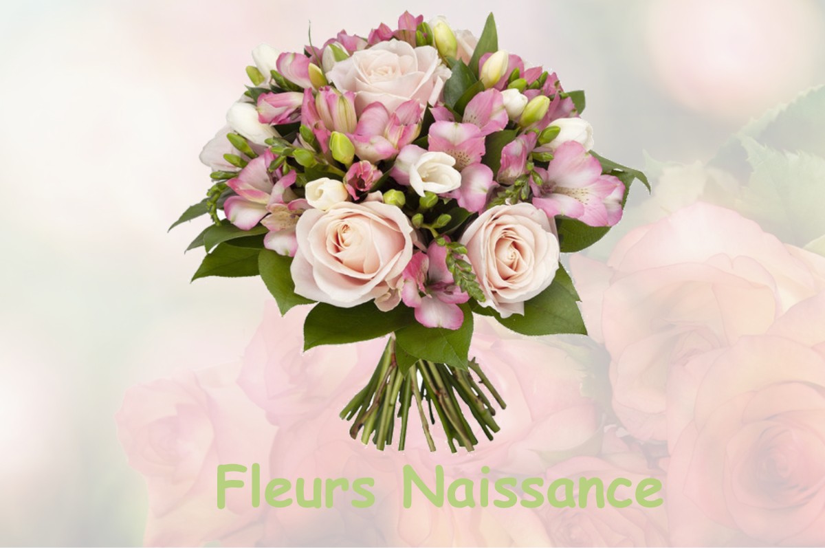 fleurs naissance LA-CHAPELLE-SAINT-FLORENT